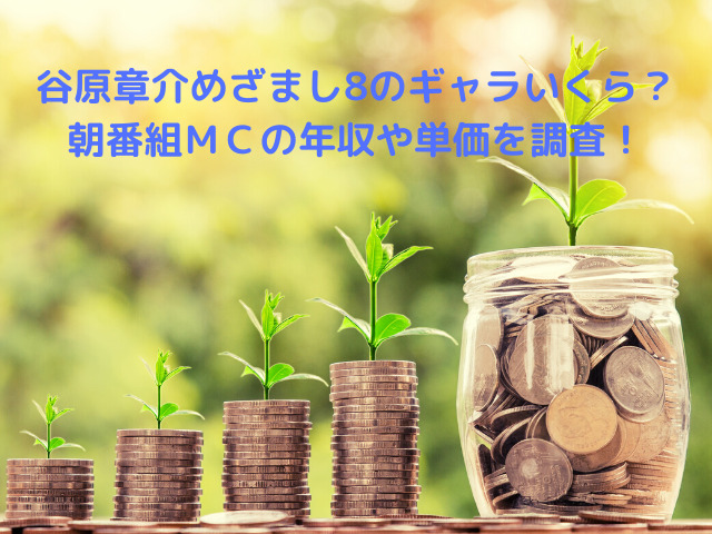 谷原章介めざまし8のギャラいくら？朝番組ＭＣの年収や単価を調査！