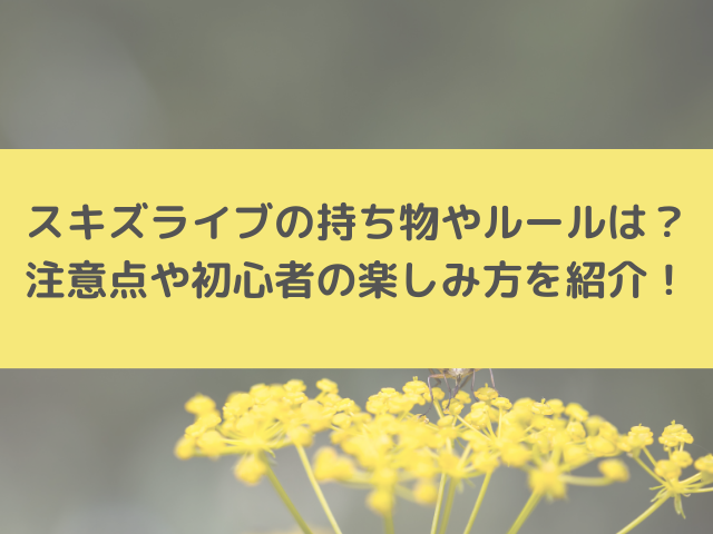 スキズライブの持ち物やルールは？ 注意点や初心者の楽しみ方を紹介！